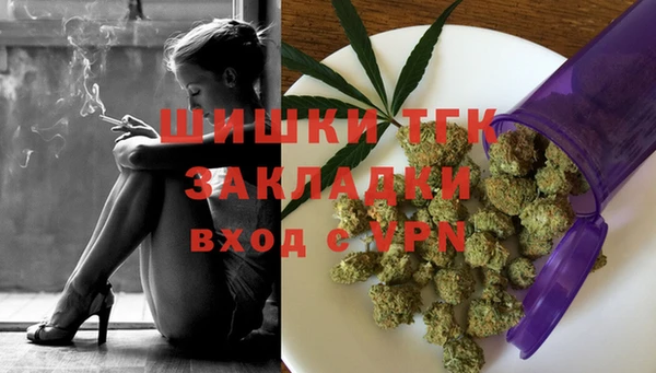 ПСИЛОЦИБИНОВЫЕ ГРИБЫ Абаза