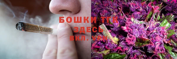 ПСИЛОЦИБИНОВЫЕ ГРИБЫ Абаза