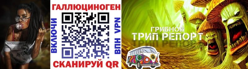 Галлюциногенные грибы Magic Shrooms  Топки 